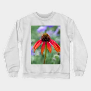 Single cone flower in a purple garden Crewneck Sweatshirt